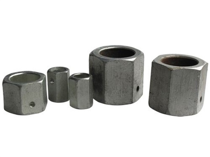 武夷山无纹螺母